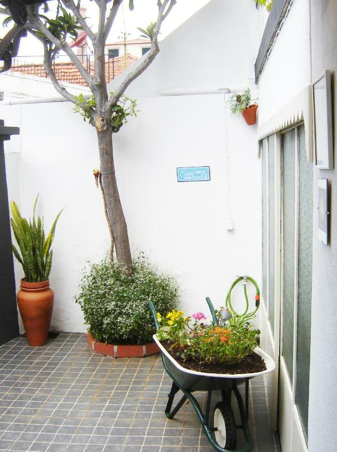 The House Villa Funchal  Exteriör bild